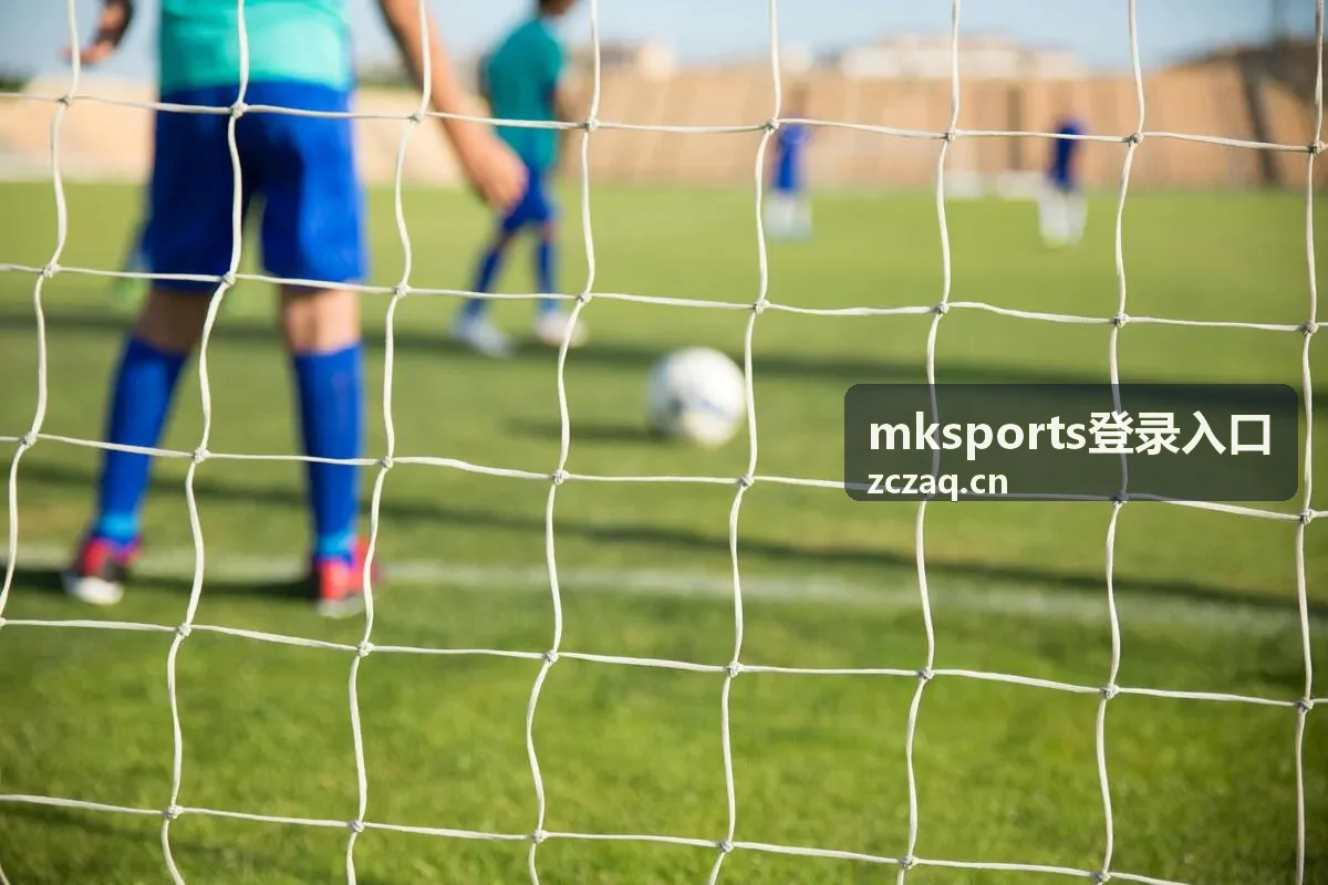 mksports登录入口 通道核验流程示意图